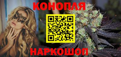 гашик Будённовск
