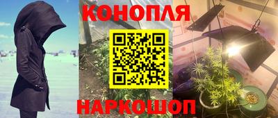 гашик Будённовск
